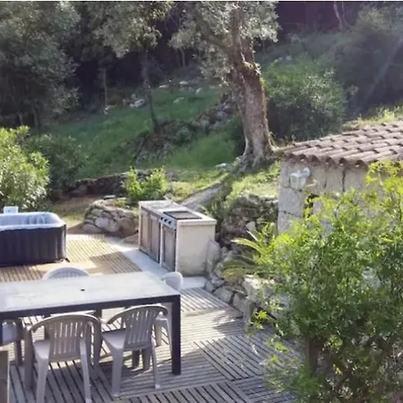Au Coeur D'une Oliveraie * Sartene (Corsica)